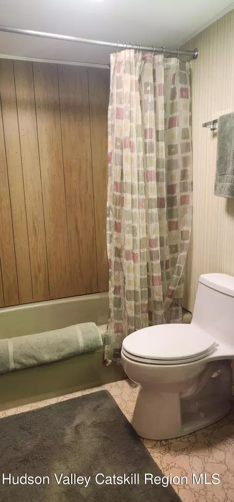 249 Pine Ln, Hunter, NY 12442 photo 13