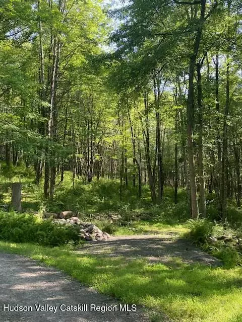 tbd Lang Rd, Accord, NY 12404