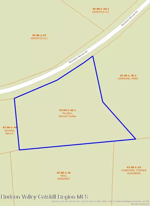 0 Windham Woods Rd, Windham, NY 12496 photo 1