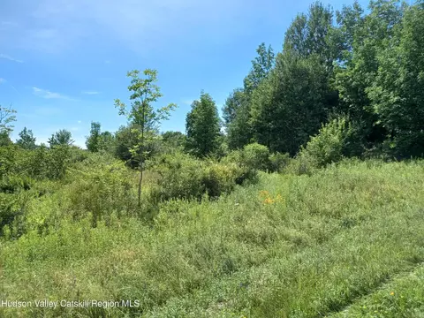 tbd Hamlet View Rd, Sidney, NY 13838 photo 6