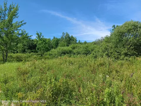 tbd Hamlet View Rd, Sidney, NY 13838 photo 7