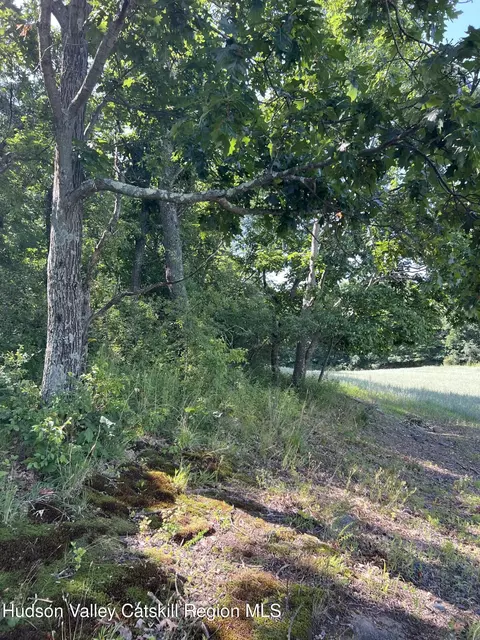 0 Trout Brook Rd, Copake, NY 12516 photo 3