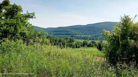 0 Trout Brook Rd, Copake, NY 12516 photo 7