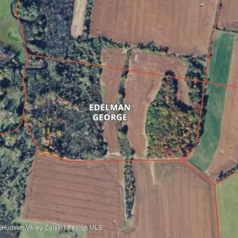 0 Trout Brook Rd, Copake, NY 12516 photo 9
