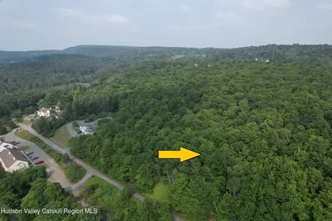 00 Timberwolf Rd, Liberty, NY 12754