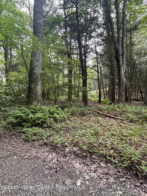 276 E Hill Rd, Austerlitz, NY 12017 photo 8