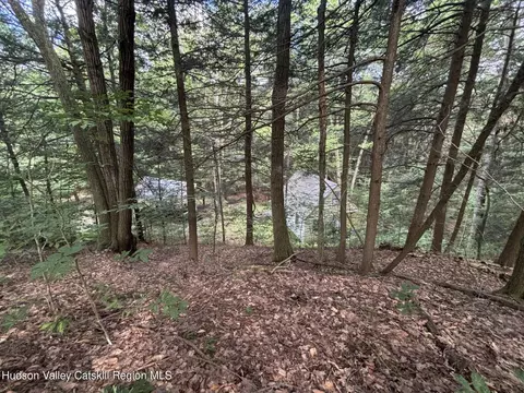 276 E Hill Rd, Austerlitz, NY 12017 photo 14