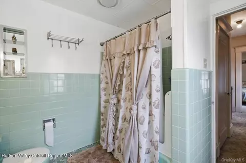 Bath - 166 Spring St, Catskill, NY 12414 photo 2 of 2