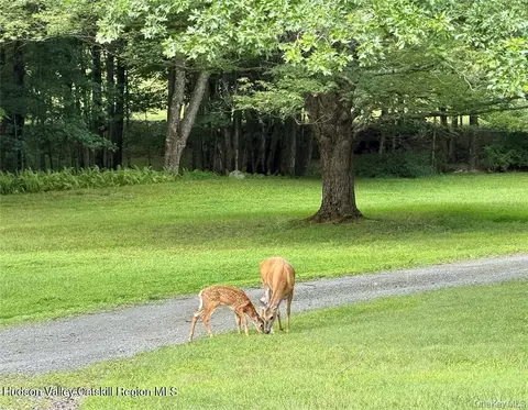 Other - 468 Decker Rd, Wallkill, NY 12589 photo 16 of 16