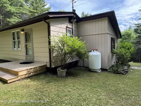 44 Alpine View Rd, Prattsville, NY 12468