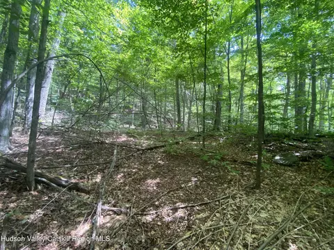 140 Arbor Rd, West Kill, NY 12492 photo 7