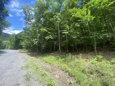 140 Arbor Rd, West Kill, NY 12492 photo 8