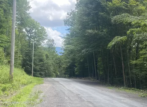 140 Arbor Rd, West Kill, NY 12492 photo 10