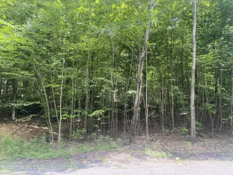 140 Arbor Rd, West Kill, NY 12492 photo 4