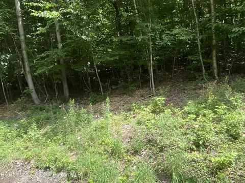 140 Arbor Rd, West Kill, NY 12492 photo 3
