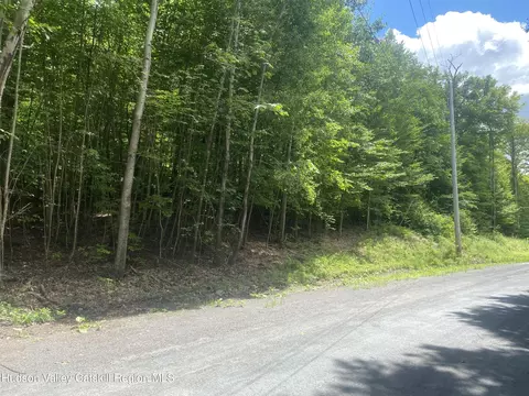 140 Arbor Rd, West Kill, NY 12492 photo 2