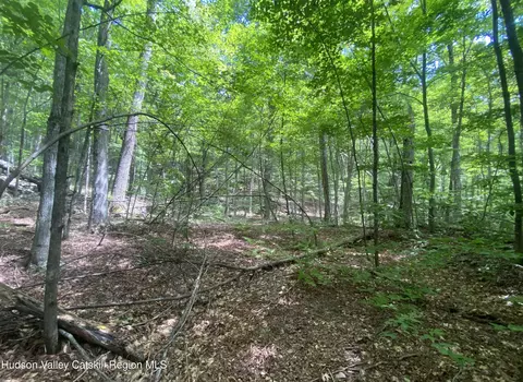 140 Arbor Rd, West Kill, NY 12492 photo 11