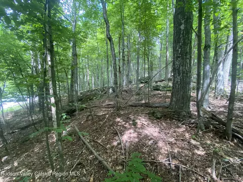 140 Arbor Rd, West Kill, NY 12492 photo 6