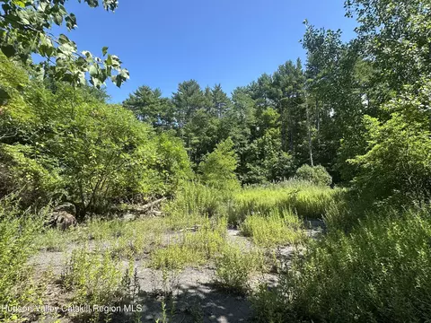 40 Lake Mills Rd, Cairo, NY 12413 photo 8