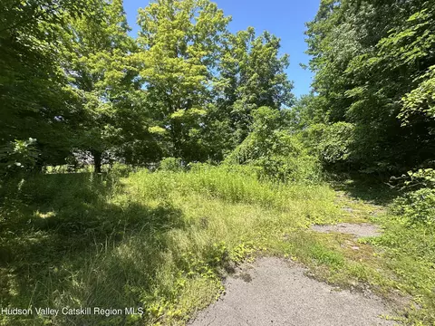 40 Lake Mills Rd, Cairo, NY 12413 photo 3