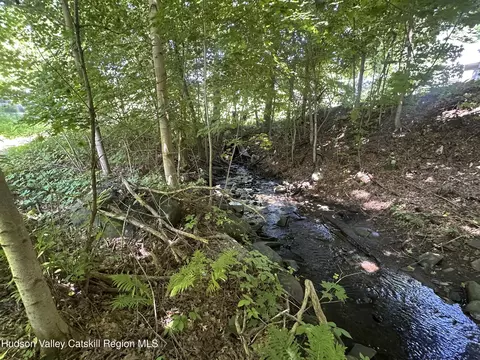 40 Lake Mills Rd, Cairo, NY 12413 photo 2
