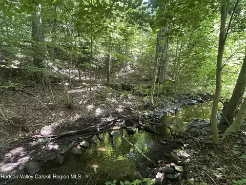 40 Lake Mills Rd, Cairo, NY 12413 photo 10