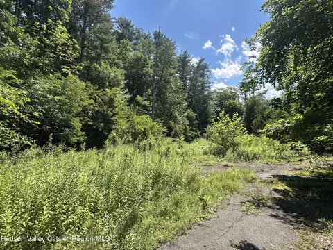 40 Lake Mills Rd, Cairo, NY 12413 photo 6