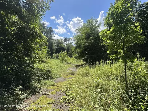 40 Lake Mills Rd, Cairo, NY 12413 photo 5