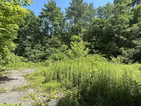 40 Lake Mills Rd, Cairo, NY 12413 photo 9