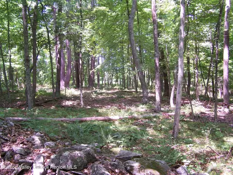 110 Burleigh Rd, New Paltz, NY 12561
