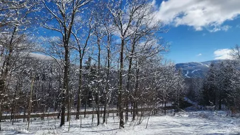 Other - 67 Summit Rd, Hunter, NY 12442 photo 11 of 17