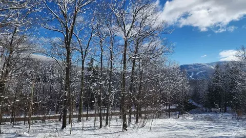 Other - 67 Summit Rd, Hunter, NY 12442 photo 10 of 10