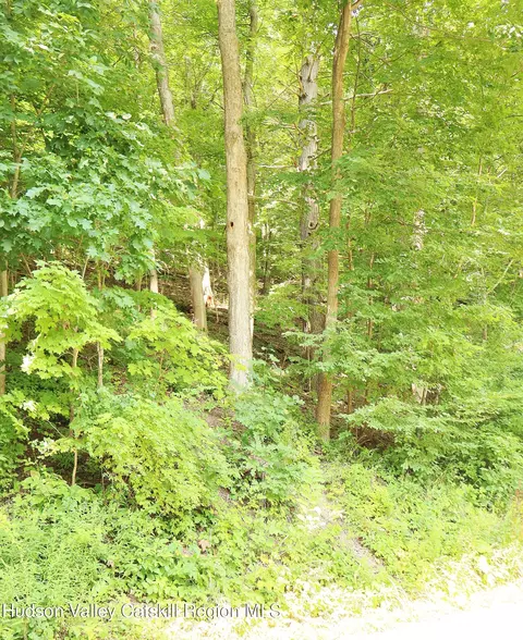 tbd Rte 23b Brooks Ln, Jefferson Heights, NY 12414 photo 9