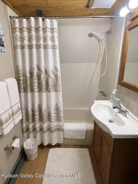 Bath - 22 Pine Ln, Hunter, NY 12442 photo 3 of 5