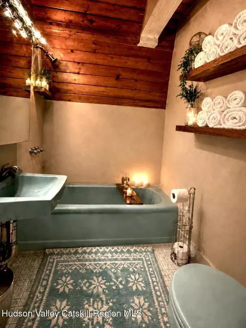 Bath - 22 Pine Ln, Hunter, NY 12442 photo 1 of 5