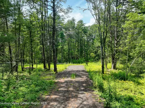 0 Maple Ave Ext, Westerlo, NY 12083 photo 2
