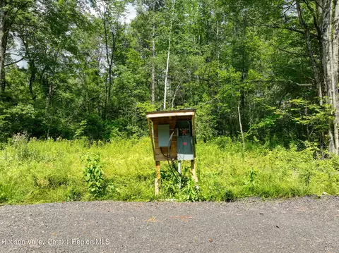 0 Maple Ave Ext, Westerlo, NY 12083 photo 6