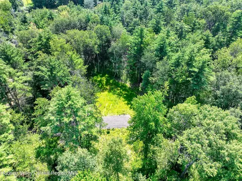 0 Maple Ave Ext, Westerlo, NY 12083 photo 11