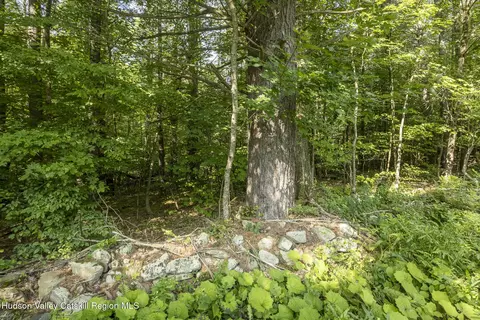 0 Old Gale Hill Road Rd, East Chatham, NY 12060
