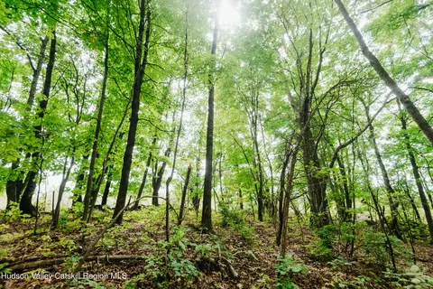 tbd Plattekill Ardonia Rd, Wallkill, NY 12589 photo 7