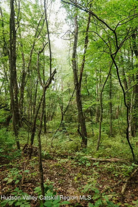 tbd Plattekill Ardonia Rd, Wallkill, NY 12589 photo 5