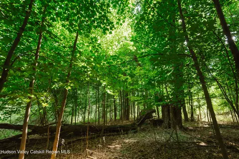tbd Plattekill Ardonia Rd, Wallkill, NY 12589 photo 9