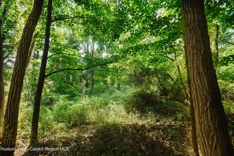 tbd Plattekill Ardonia Rd, Wallkill, NY 12589 photo 4