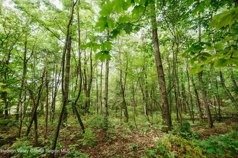 tbd Plattekill Ardonia Rd, Wallkill, NY 12589 photo 10