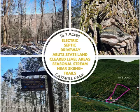 tbd Rider Hollow Rd, Hardenburgh, NY 12406