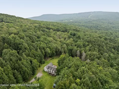 395 Roaring Brook Ln, Pine Hill, NY 12465