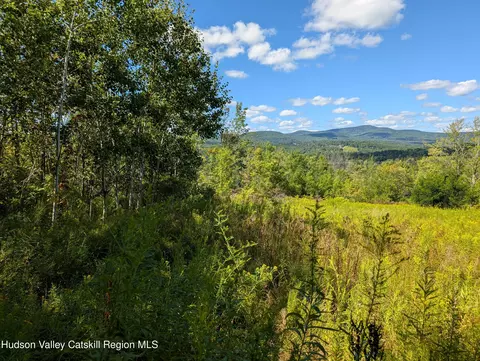 0 Panarama Ln, Windham, NY 12496 photo 2