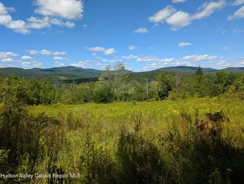 0 Panarama Ln, Windham, NY 12496 photo 9