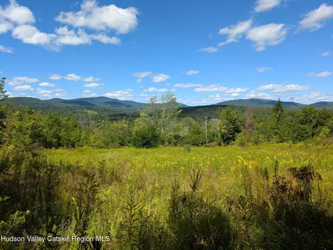 0 Panarama Ln, Windham, NY 12496 photo 13