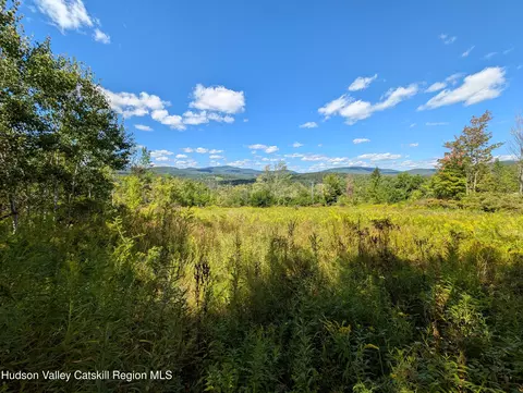 0 Panarama Ln, Windham, NY 12496 photo 10